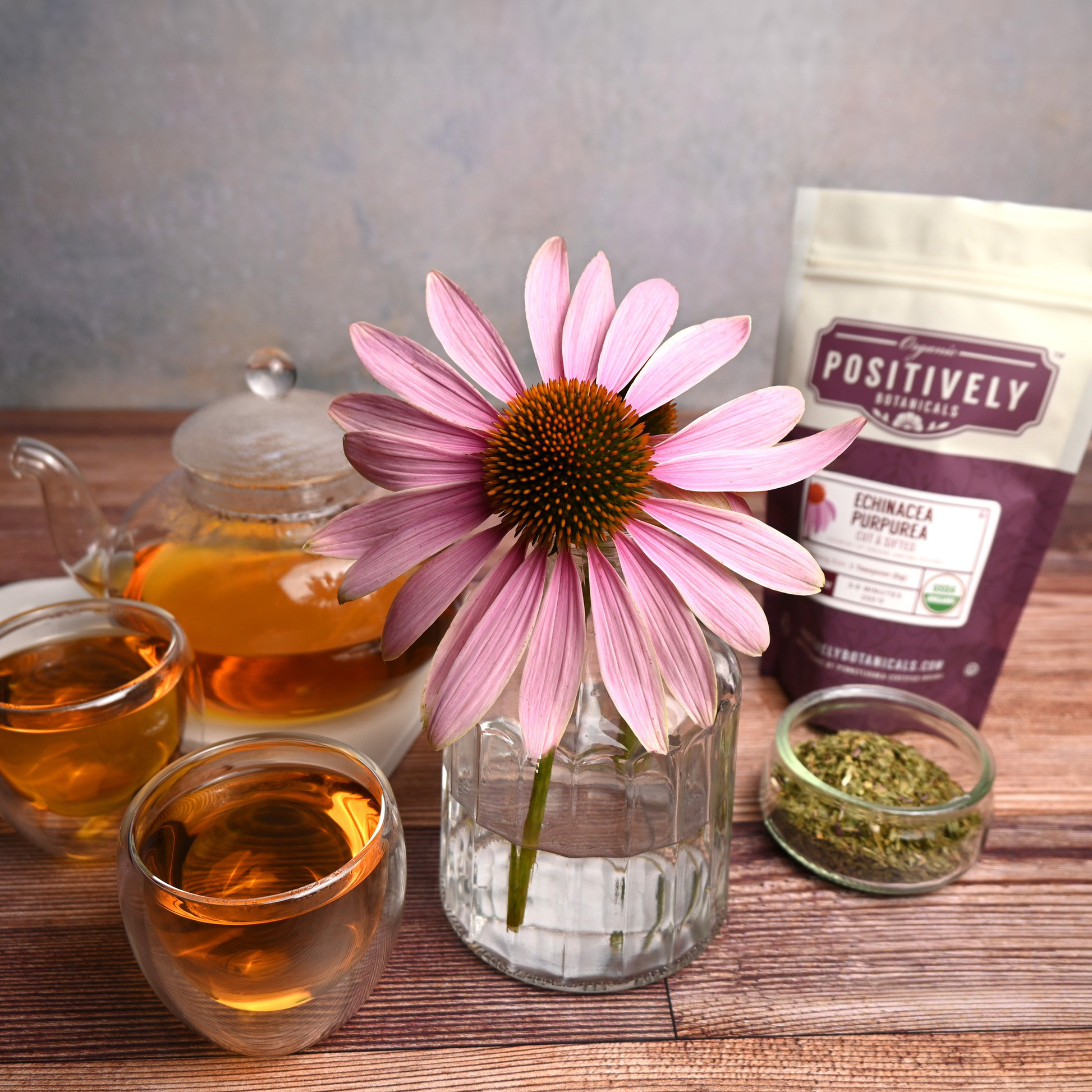 Organic Echinacea Purpurea - Loose Leaf Botanical – Fresh Roasted