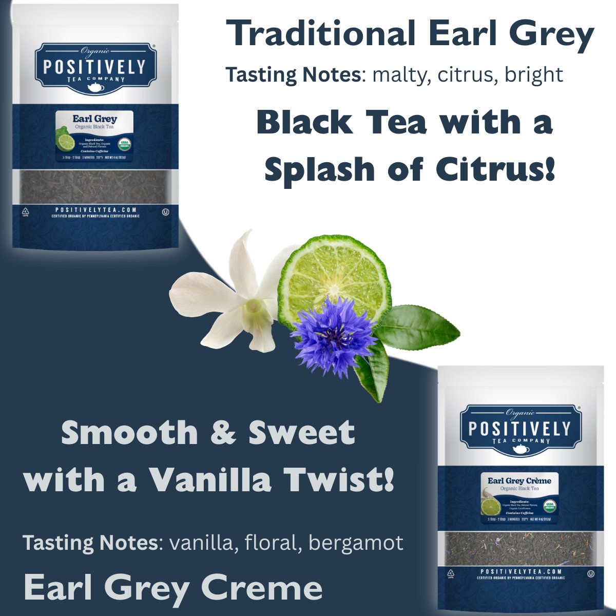 Organic Traditional Earl Grey - Tea Bags