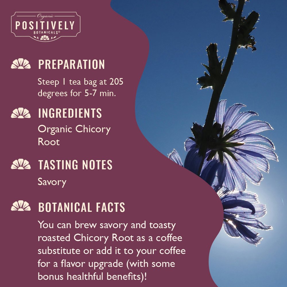 Organic Chicory Root - Botanical Tea Bags