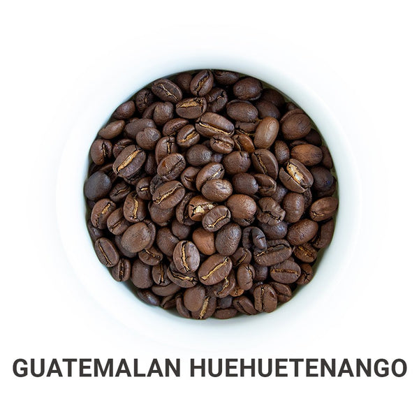 Tour of Central America - Roasted Coffee Bundle