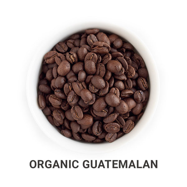 Tour of Central America (Organic) - Roasted Coffee Bundle